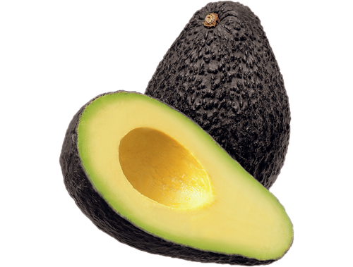 Palta