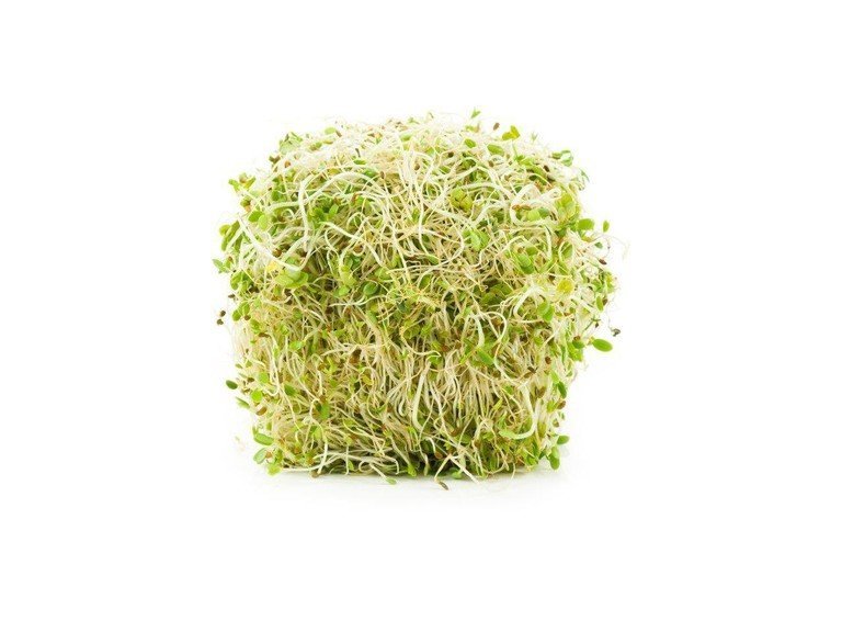 Brotes alfalfa