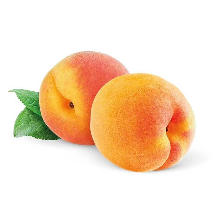 Durazno