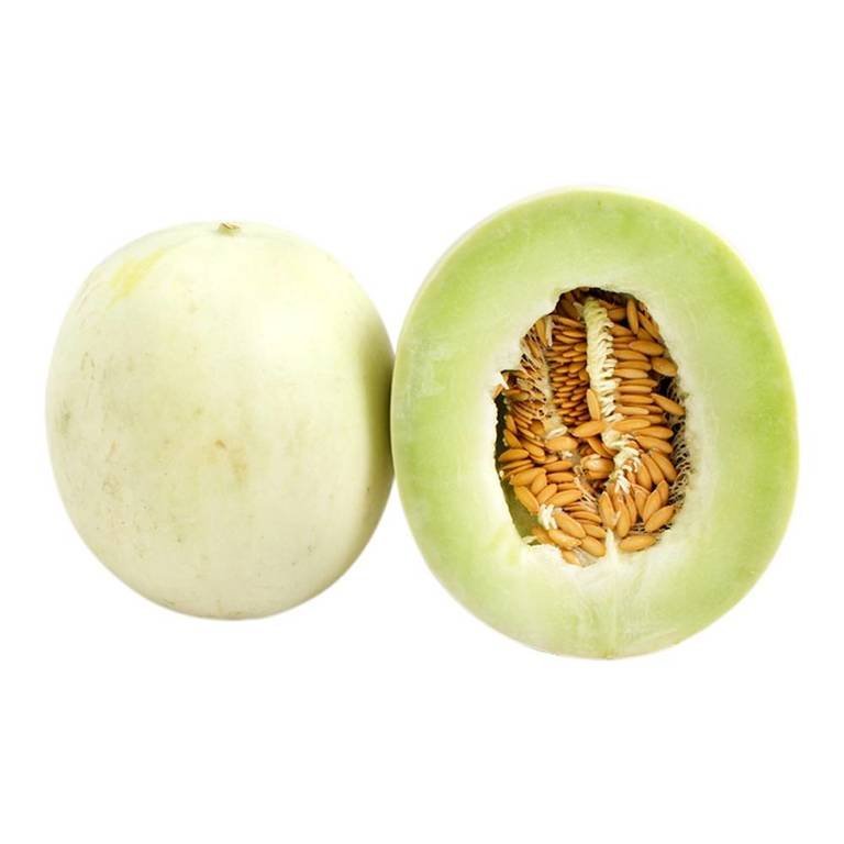 Melón