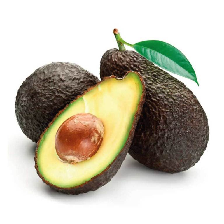 Palta